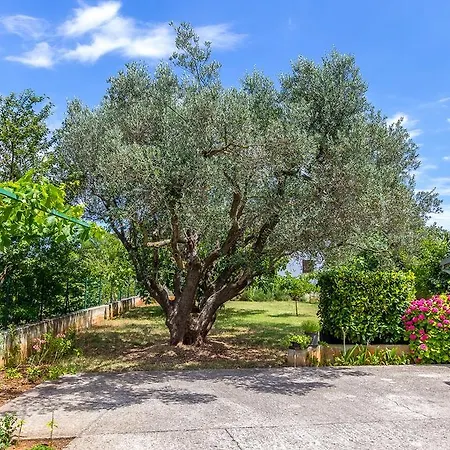 Lucia Apartament
